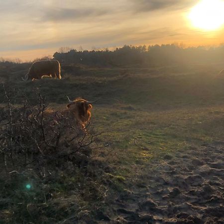 De Bosrand Grenzend Aan Het Bos Castricum Exterior foto