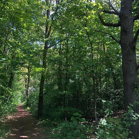 De Bosrand Grenzend Aan Het Bos Castricum Exterior foto
