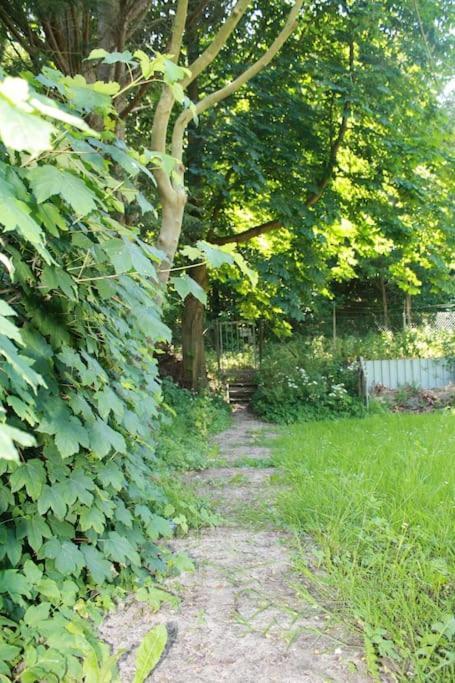 De Bosrand Grenzend Aan Het Bos Castricum Exterior foto