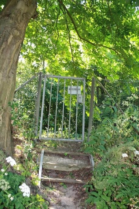 De Bosrand Grenzend Aan Het Bos Castricum Exterior foto