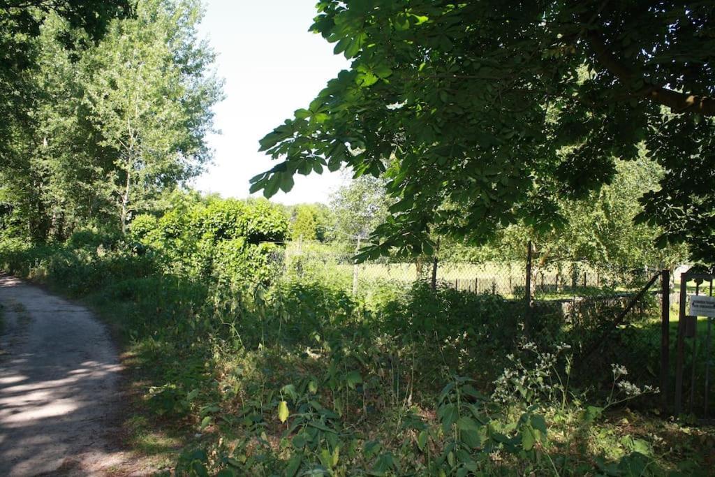 De Bosrand Grenzend Aan Het Bos Castricum Exterior foto