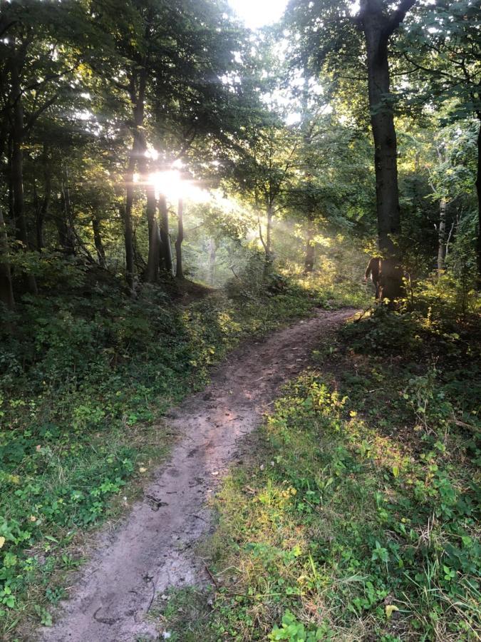 De Bosrand Grenzend Aan Het Bos Castricum Exterior foto